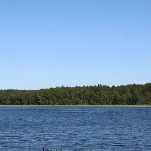 Jezioro Ostrowite - jezioro ostrowite panorama