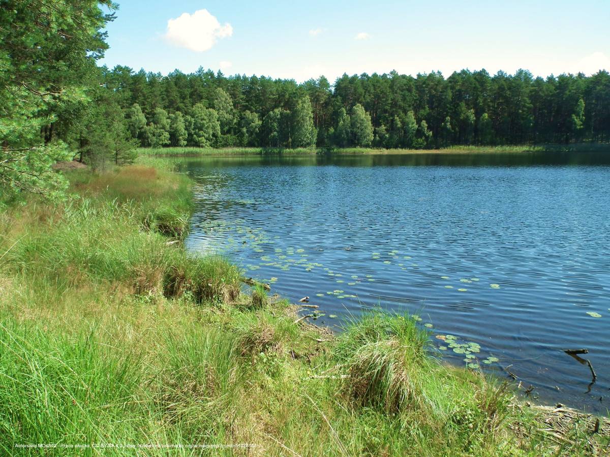 Jezioro Małe Gacno - male gacno lake