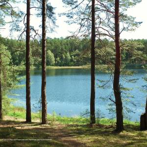 Jezioro Małe Gacno - male gacno lake 5