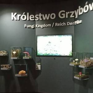Centrum Edukacji Przyrodniczej Parku Narodowego „Bory Tucholskie” - centrum edukacji przyrodniczej parku narodowego bory tucholskie 7