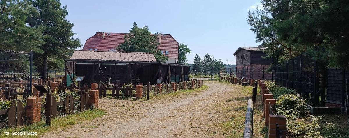 Zagroda Pokazowa Zwierząt Parku Narodowego "Bory Tucholskie" w Chocińskim Młynie - centrum edukacji przyrodniczej parku narodowego bory tucholskie 4