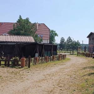Zagroda Pokazowa Zwierząt Parku Narodowego "Bory Tucholskie" w Chocińskim Młynie - centrum edukacji przyrodniczej parku narodowego bory tucholskie 4