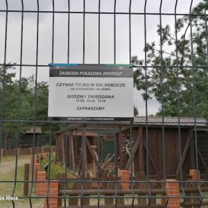 Zagroda Pokazowa Zwierząt Parku Narodowego "Bory Tucholskie" w Chocińskim Młynie - zagroda pokazowa zwierzat parku narodowego bory tucholskie w chocinskim mlynie 3