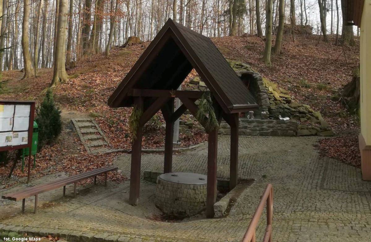 Źródło w Dolinie Wendelina w Rudzicy - zrodlo w dolinie wendelina w rudzicy 8