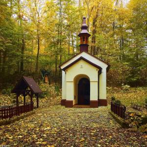 Źródło w Dolinie Wendelina w Rudzicy - jas 11j cf056783