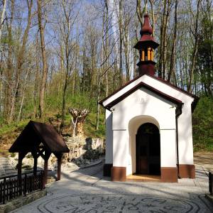 Źródło w Dolinie Wendelina w Rudzicy - zrodlo w dolinie wendelina w rudzicy 2