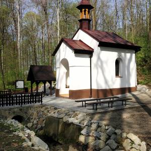 Źródło w Dolinie Wendelina w Rudzicy - zrodlo w dolinie wendelina w rudzicy 3
