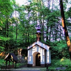 Źródło w Dolinie Wendelina w Rudzicy - zrodlo w dolinie wendelina w rudzicy 4