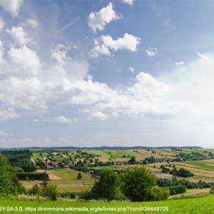 Ścieżka na Bukową Górę - bukowa gora rafal pikul