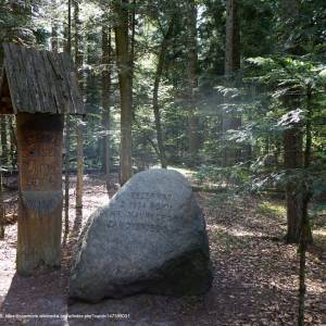 Ścieżka na Bukową Górę - bukowa gora roztoczanski park narodowy rpn