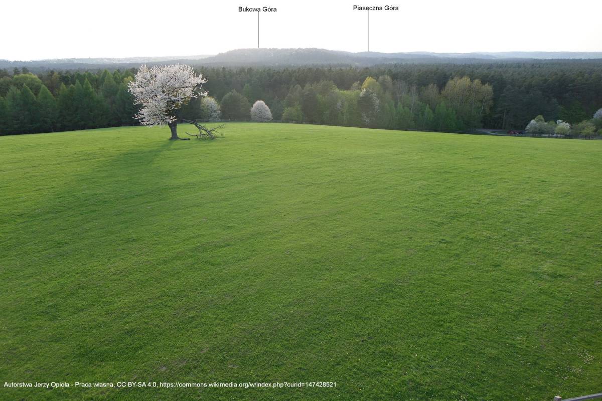 Piaseczna Góra (298 m n.p.m.) - widok z wiezy widokowej na bialej gorze rpn1 2