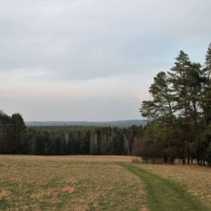 Piaseczna Góra (298 m n.p.m.) - sciezka na piaseczna gore2