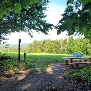 Piaseczna Góra (298 m n.p.m.) - sciezka na piaseczna gore3