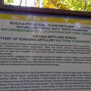 Pozostałości 17 Baterii Artylerii Stałej - pozostalosci 17 baterii artylerii stalej 7