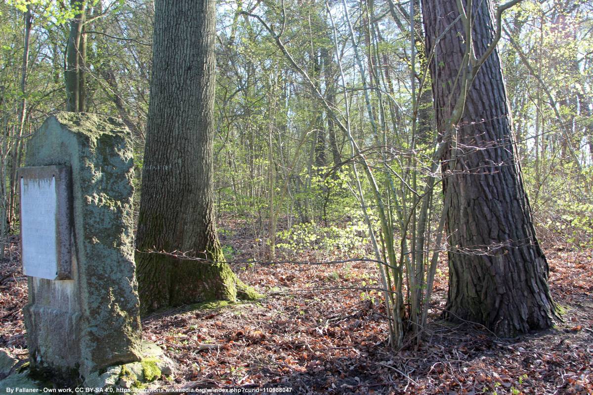 Grodzisko nad Jeziorem Czajcze - grodzisko nad jeziorem czajczym 3