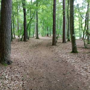 Grodzisko nad Jeziorem Czajcze - grodzisko nad jeziorem czajcze 1