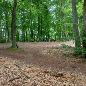 Grodzisko nad Jeziorem Czajcze - grodzisko nad jeziorem czajcze 10