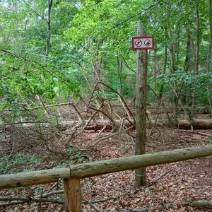 Grodzisko nad Jeziorem Czajcze - grodzisko nad jeziorem czajcze 12