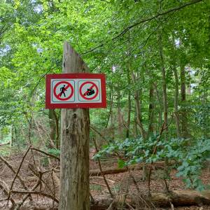 Grodzisko nad Jeziorem Czajcze - grodzisko nad jeziorem czajcze 13