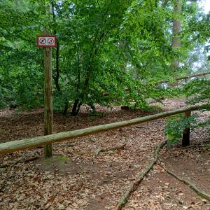 Grodzisko nad Jeziorem Czajcze - grodzisko nad jeziorem czajcze 14