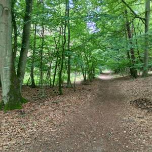 Grodzisko nad Jeziorem Czajcze - grodzisko nad jeziorem czajcze 2