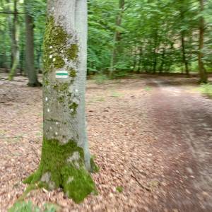 Grodzisko nad Jeziorem Czajcze - grodzisko nad jeziorem czajcze 3
