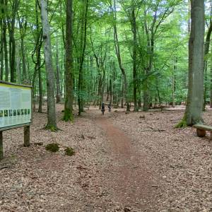 Grodzisko nad Jeziorem Czajcze - grodzisko nad jeziorem czajcze 4
