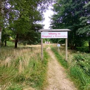 Przystań wodna na Jeziorze Wisełka - przystan wodna na jeziorze wiselka 14