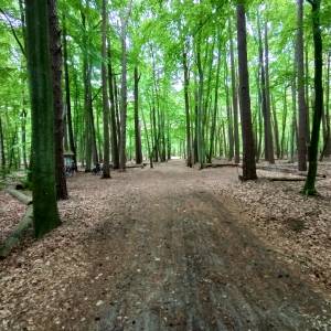 Parking przy Jeziorze Czajcze - parking przy jeziorze czajcze 11