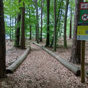 Parking przy Jeziorze Czajcze - parking przy jeziorze czajcze 12