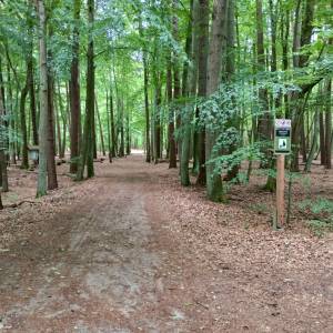 Parking przy Jeziorze Czajcze - parking przy jeziorze czajcze 19
