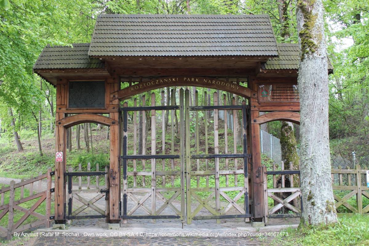 Parking przy Dyrekcji Roztoczańskiego Parku Narodowego - roztocze national park 02