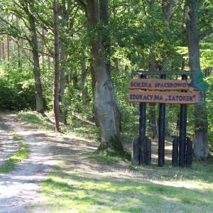 Jezioro Zatorek - jezioro zatorek 5