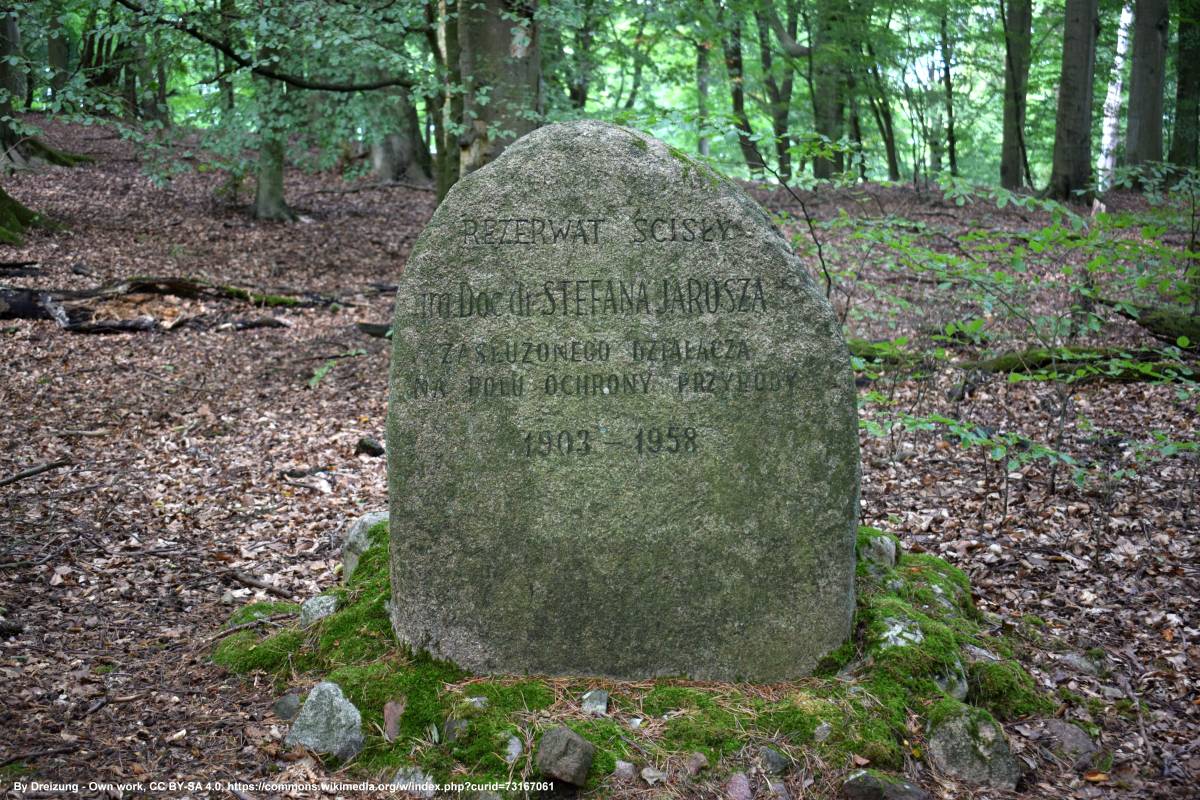 Obelisk dr. Stefana Jarosza w Kołczewie - obelisk dr stefana jarosza w kolczewie