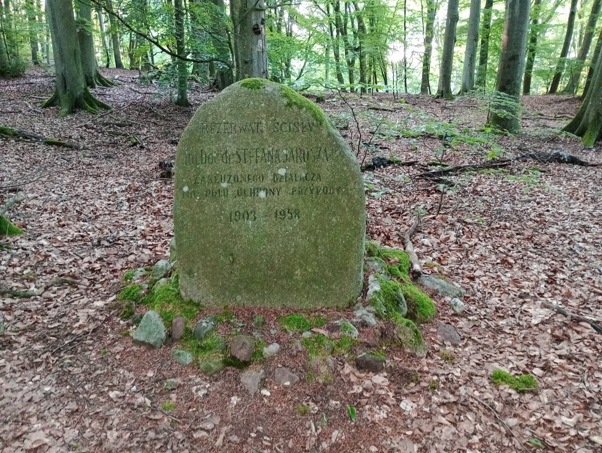 Obelisk dr. Stefana Jarosza w Kołczewie - obelisk dr stefana jarosza w kolczewie 9
