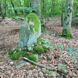 Obelisk dr. Stefana Jarosza w Kołczewie - obelisk dr stefana jarosza w kolczewie 1