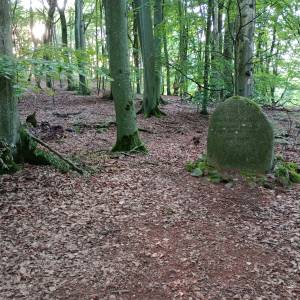 Obelisk dr. Stefana Jarosza w Kołczewie - obelisk dr stefana jarosza w kolczewie 11