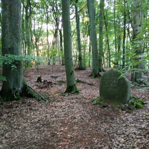 Obelisk dr. Stefana Jarosza w Kołczewie - obelisk dr stefana jarosza w kolczewie 5