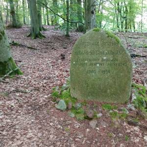 Obelisk dr. Stefana Jarosza w Kołczewie - obelisk dr stefana jarosza w kolczewie 8