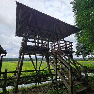 Wieża widokowa w Zwierzyńcu - wieza widokowa w zwierzyncu1
