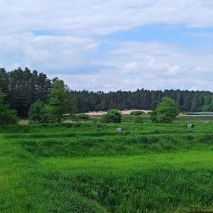 Wieża widokowa w Zwierzyńcu - wieza widokowa w zwierzyncu3