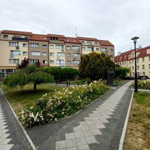 Pomnik Józefa Piłsudskiego w Kamieniu Pomorskim - pomnik jozefa pilsudskiego w kamieniu pomorskim 8