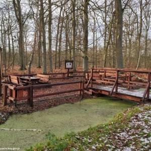 Wieża widokowa Torfowiska Uznamskie - wieza widokowa torfowiska uznamskie 7