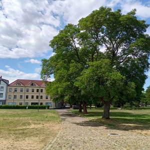 Stare Miasto w Wolinie - stare miasto w wolinie 3