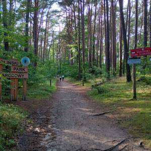Parking leśny przy plaży Świętouść - parking lesny przy plazy swietousc 2025r 1