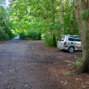 Parking leśny przy plaży Świętouść - parking lesny przy plazy swietousc 2025r 3