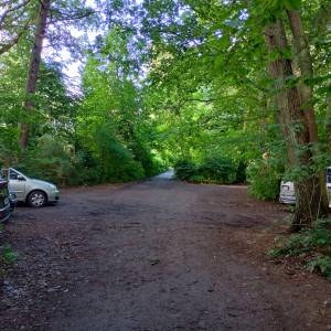 Parking leśny przy plaży Świętouść - parking lesny przy plazy swietousc 2025r 4