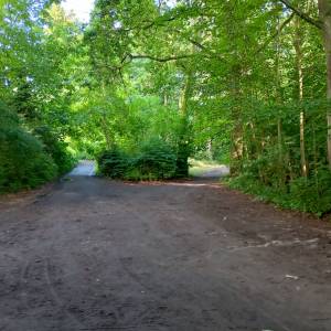 Parking leśny przy plaży Świętouść - parking lesny przy plazy swietousc 2025r 5