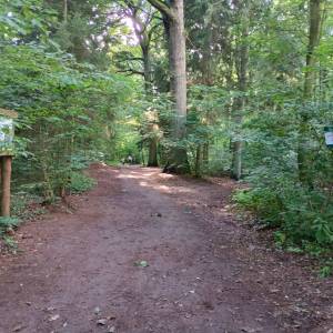 Parking leśny przy plaży Świętouść - parking lesny przy plazy swietousc 2025r 6