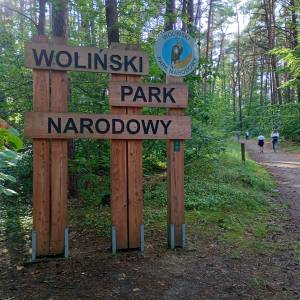 Parking leśny przy plaży Świętouść - parking lesny przy plazy swietousc 2025r 8